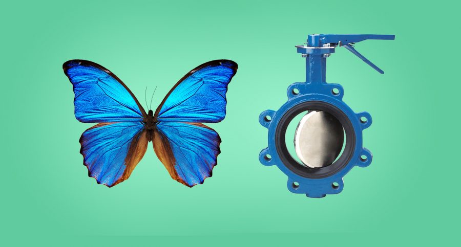 شیر پروانه ای چیست؟